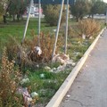 Via Barletta: i rifiuti restano a «terra»