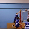 L'Audax Volley batte il Molfetta e conquista la vetta solitaria