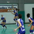 Audax Volley: brutta gara e vittoria per il Molfetta