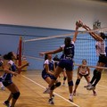 L'Audax Volley batte il Molfetta e conquista la vetta solitaria