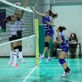 Audax Volley: brutta gara e vittoria per il Molfetta