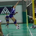 Audax Volley: brutta gara e vittoria per il Molfetta