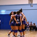 L'Audax Volley batte il Molfetta e conquista la vetta solitaria