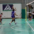 Audax Volley: esordio magico in serie D contro il Bitonto