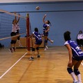 L'Audax Volley batte il Molfetta e conquista la vetta solitaria