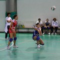 Audax Volley: esordio magico in serie D contro il Bitonto