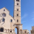 Dog's Hostel, protesta estrema: Vito Malcangi sul cornicione della Cattedrale di Trani