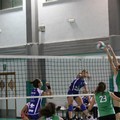 Audax Volley: esordio magico in serie D contro il Bitonto