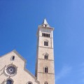 Dog's Hostel, protesta estrema: Vito Malcangi sul cornicione della Cattedrale di Trani