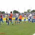 La promozione in serie D della Fidelis Andria