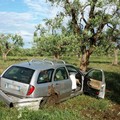 Auto contro albero in via Vecchia Bisceglie