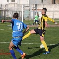 La fotostory del match Ostuni - Fidelis Andria