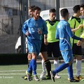 Atletico Mola - Fidelis Andria