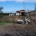 Le foto scattate dai volontari nel canile Dogs's Hostel di Trani