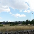 Vasto incendio in zona Castel del Monte: paura nelle ville residenziali