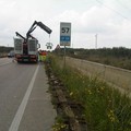 Lavori di spostamento e posizionamento di barriere stradali sull'Andriese-Coratina