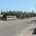 Rifiuti di ogni genere nelle strade del Ciappetta Camaggio