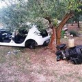 Auto rubate ad Andria e Bisceglie scoperte dai Carabinieri