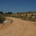 Quartiere S. Valentino, lavori bloccati, area mercatale abbandonata, animali di ogni genere e strade inesistenti