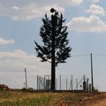 Albero finto per stazione radio base mascherata