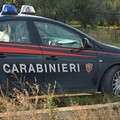 Incidente auto sulla Andria - Trani