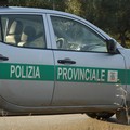 Incidente auto sulla Andria - Trani