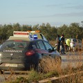 Incidente auto sulla Andria - Trani