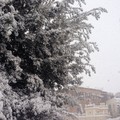 neve andria 31 dicembre 2014 mattina