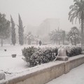 Neve Andria: Maddalena_ore 13,30 - Monumento ai Caduti