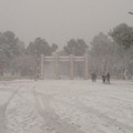 Neve Andria: Maddalena_ore 13,30 - Villa Comunale