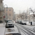 Neve Andria: Nicola_10 - Piazza Catuma