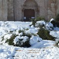 Neve Castel del Monte Andria