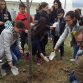 Festa dell'albero Andria Legambiente e Comune