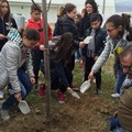 Festa dell'albero Andria Legambiente e Comune