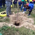 Festa dell'albero Andria Legambiente e Comune