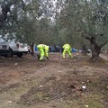 Pulizia straordinaria nel campo di via Montefaraone