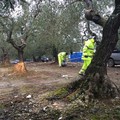 Pulizia straordinaria nel campo di via Montefaraone