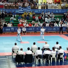 Mondiali di taekwondo