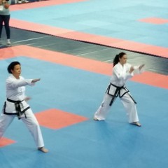 Mondiali di taekwondo