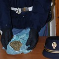 Marijuana sequestrata dalla Polizia di Stato