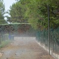 Bomba d'acqua a Castel del Monte - Le immagini