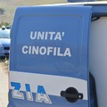 Scomparsa Vassalli, al lavoro i cani molecolari della Polizia