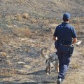 Scomparsa Vassalli, al lavoro i cani molecolari della Polizia