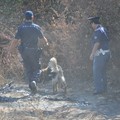 Scomparsa Vassalli, al lavoro i cani molecolari della Polizia