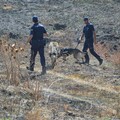 Scomparsa Vassalli, al lavoro i cani molecolari della Polizia