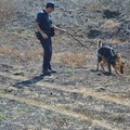 Scomparsa Vassalli, al lavoro i cani molecolari della Polizia