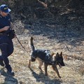 Scomparsa Vassalli, al lavoro i cani molecolari della Polizia