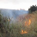 Incendio Contrada Lama Paola