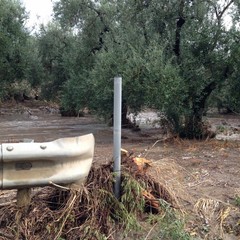 Strade provinciali trascurate e pericolose