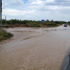 Strade provinciali trascurate e pericolose